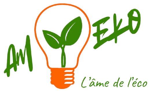 Logo AMEKO — ampoule avec feuille verte et slogan “L’âme de l’éco”